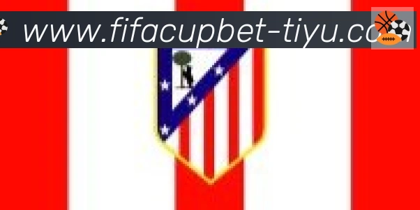FIFA世界杯买球入口合作伙伴